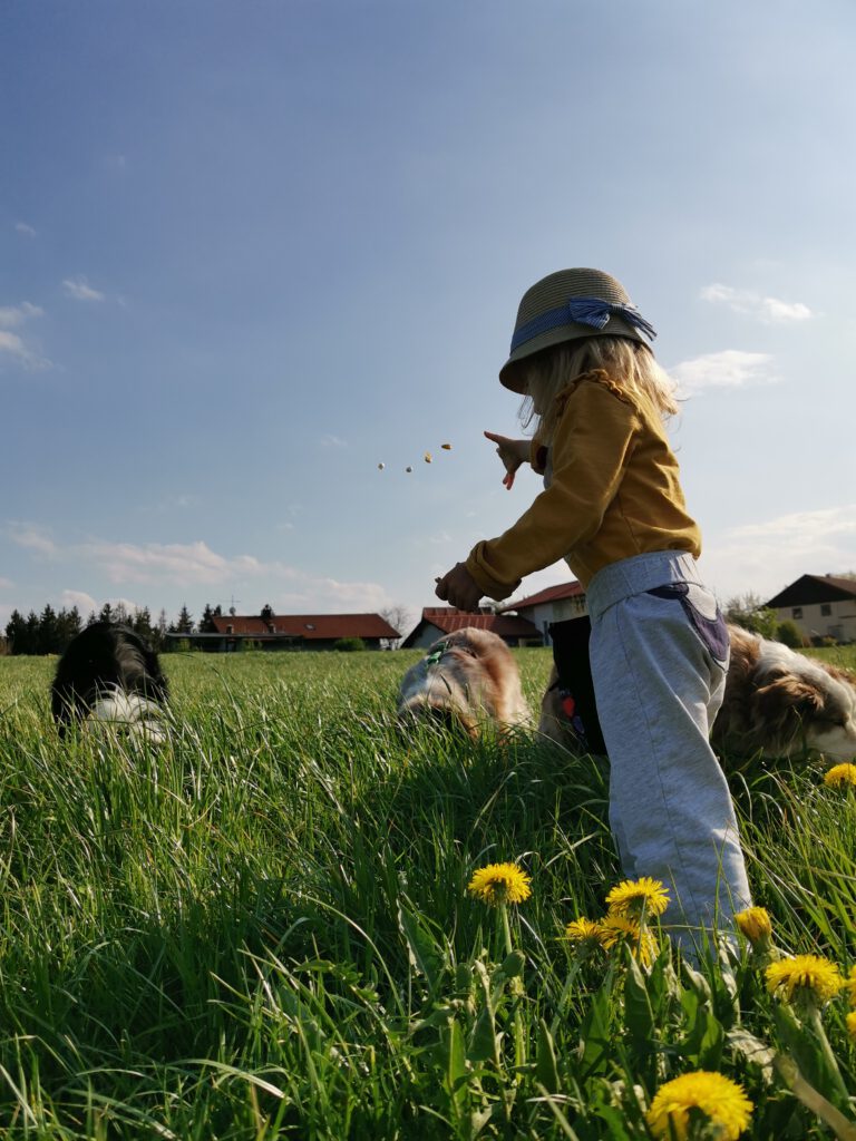 Kind wirft Leckerli für Hunde