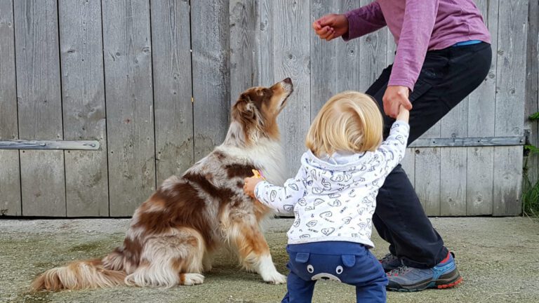 Kind, Hund, Mutter springen