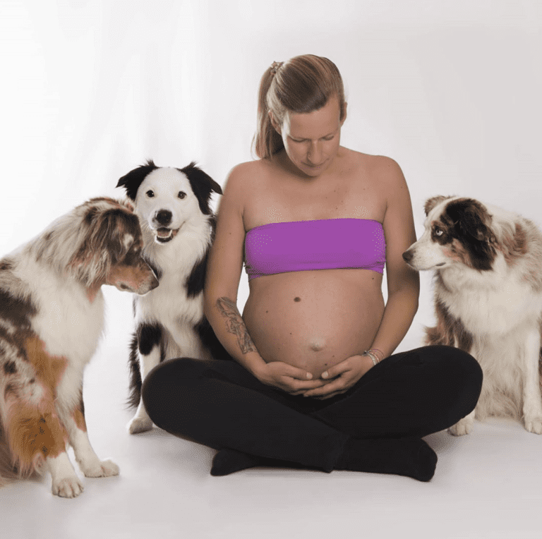 Schwangere Frau sitzt im Fotostudio auf dem Boden mit drei Hunden, Blick auf Bauch