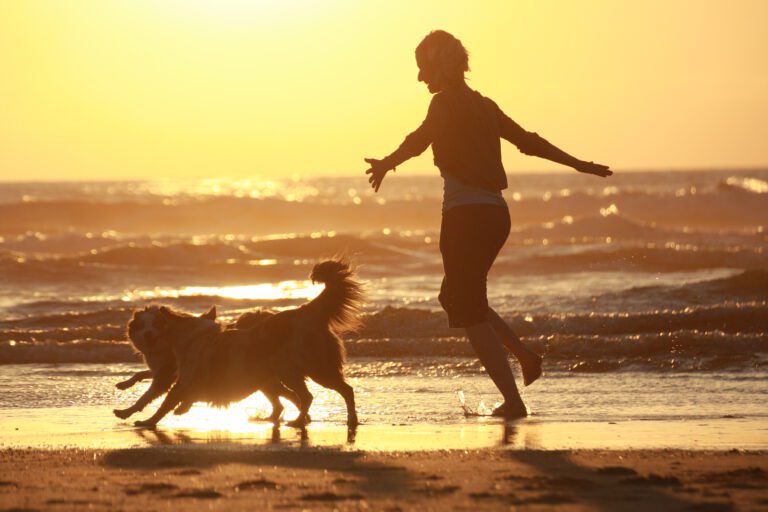Frau läuft im Sonnenuntergang am Meer mit zwei Hunden