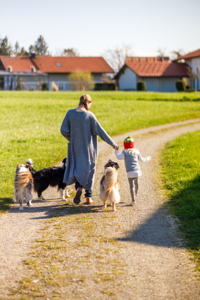 Spaziergang mit Kind und drei Hunden