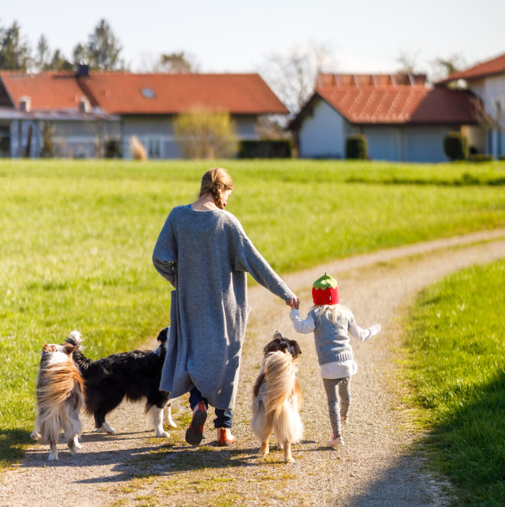 Spaziergang mit Kind und drei Hunden