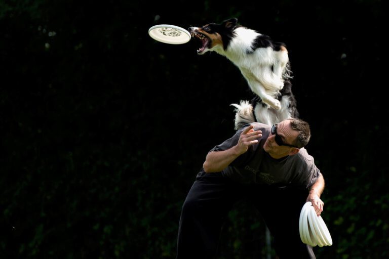 Björn Tigges Dog Frisbee