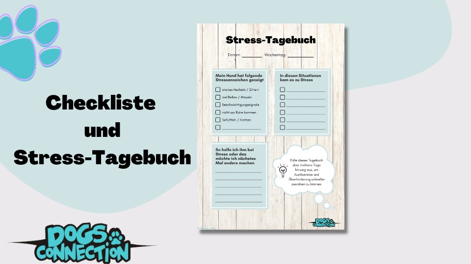 Grafik Stress Tagebuch Beispiel