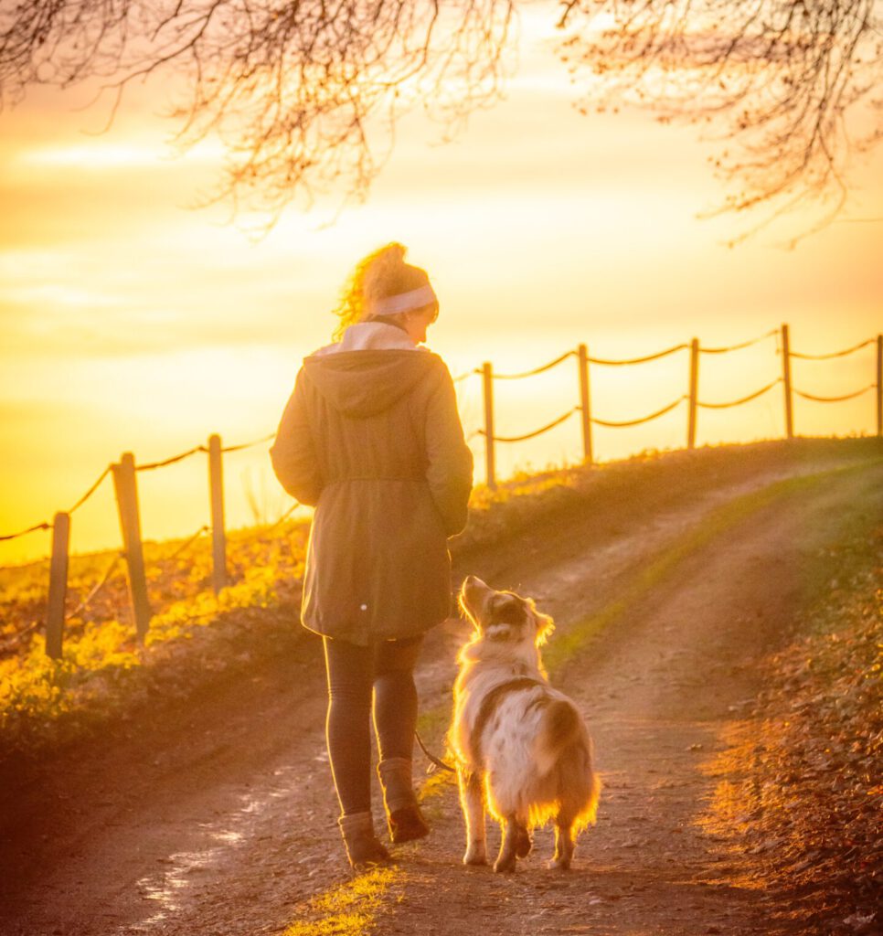 Foto von Patrick Schätz auf Unsplash